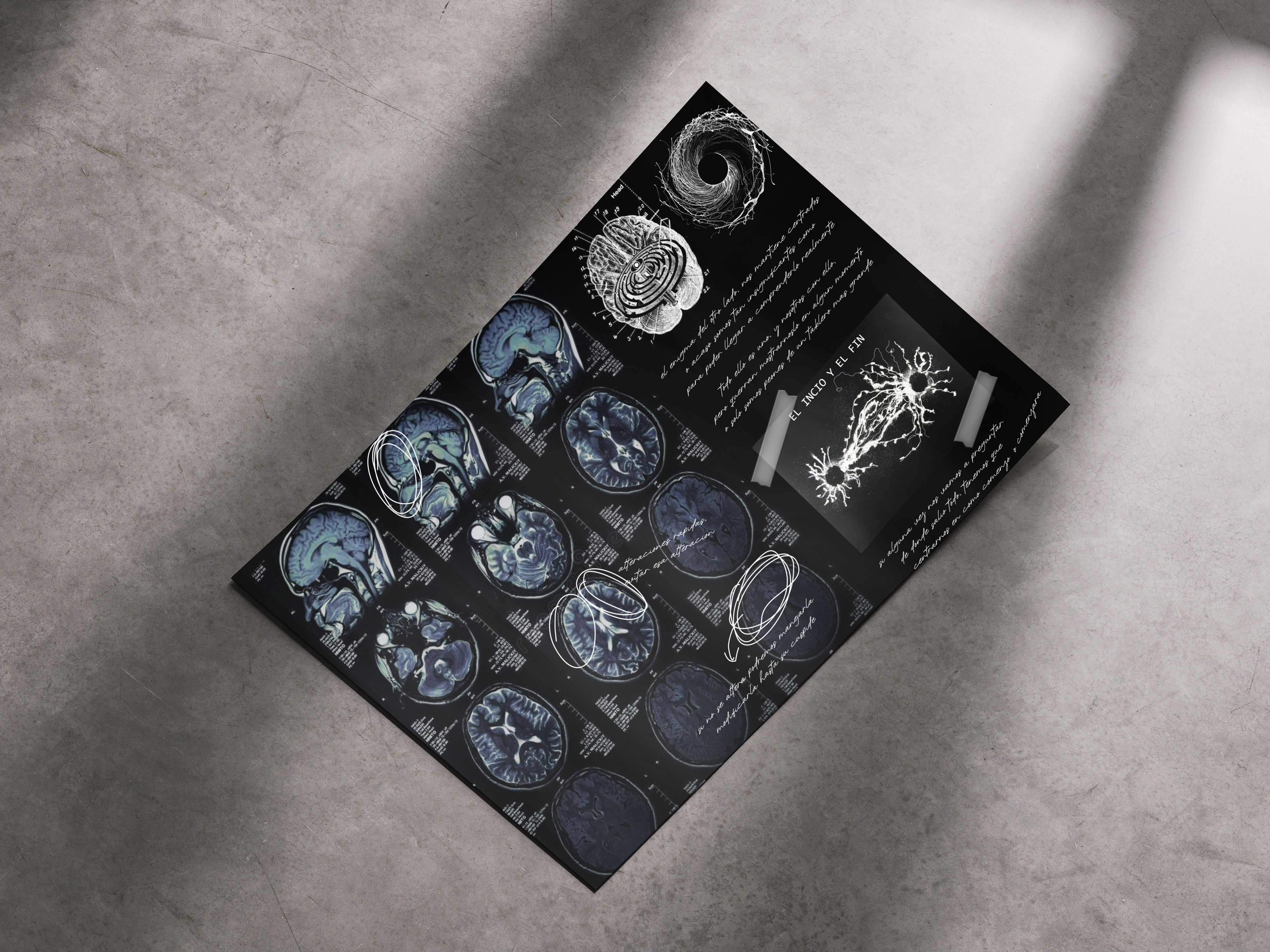 poster investigacion